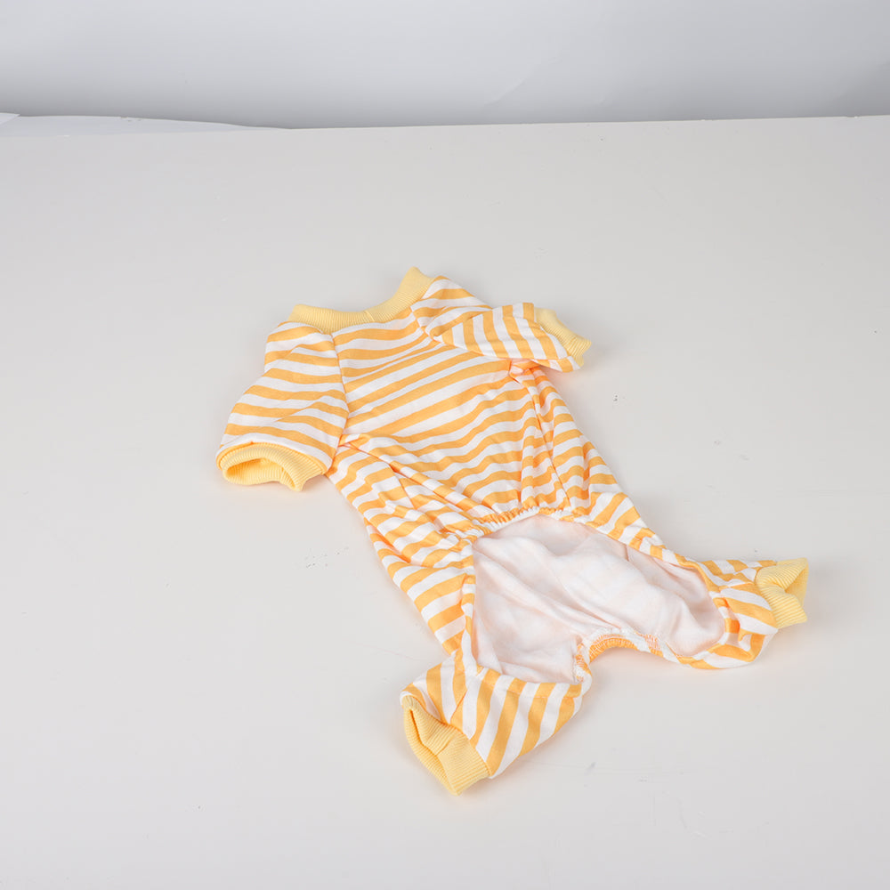 Clothing for animals